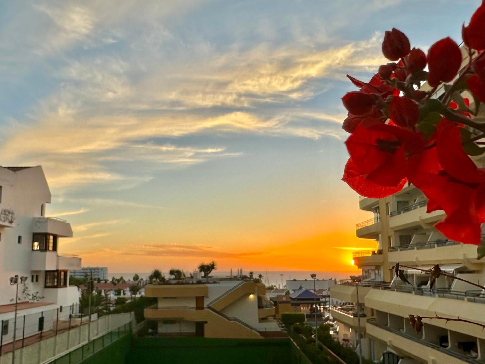 Apartment In Ocean Park, Costa Adeje, Tenerife エクステリア 写真