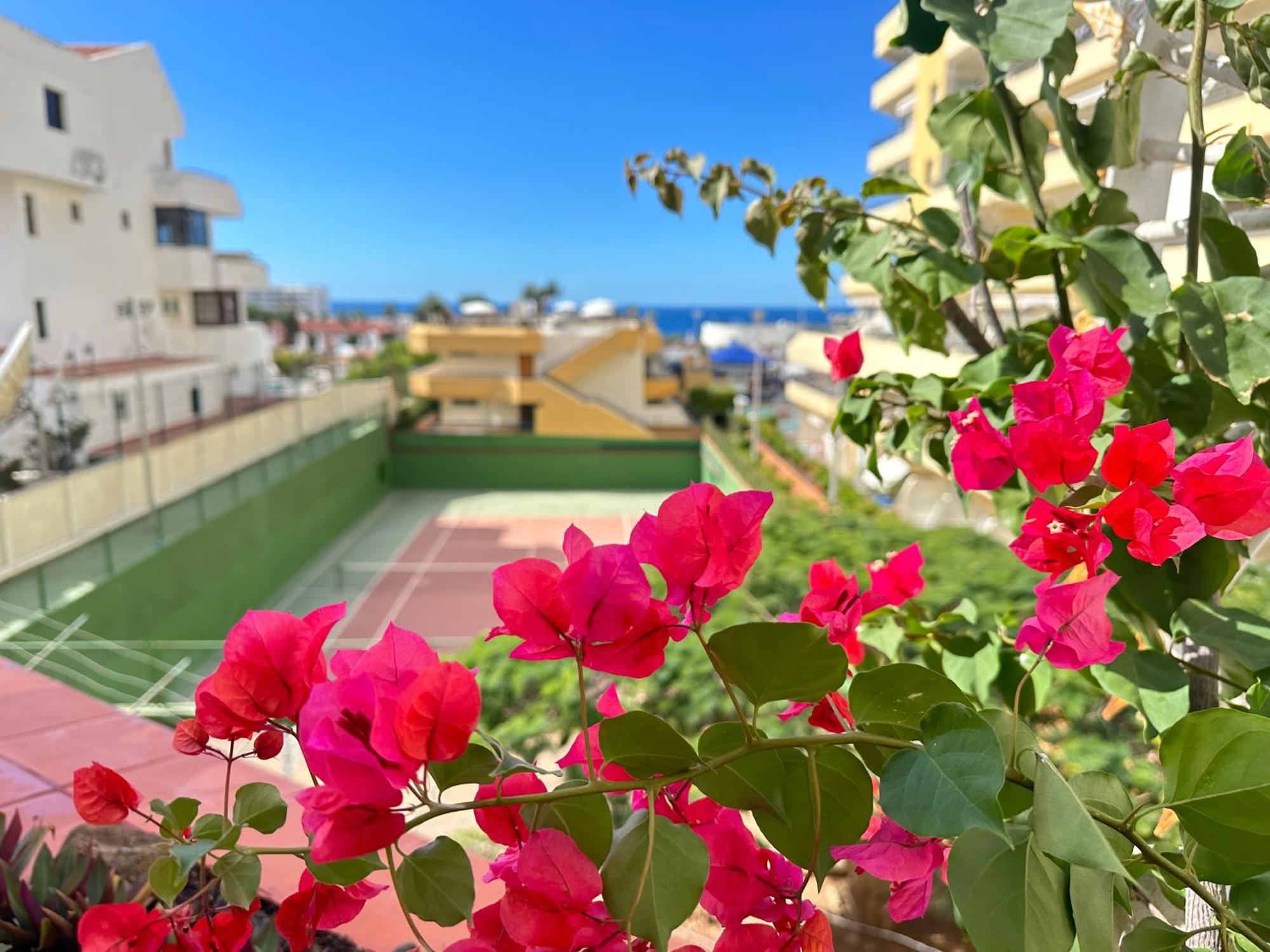 Apartment In Ocean Park, Costa Adeje, Tenerife エクステリア 写真