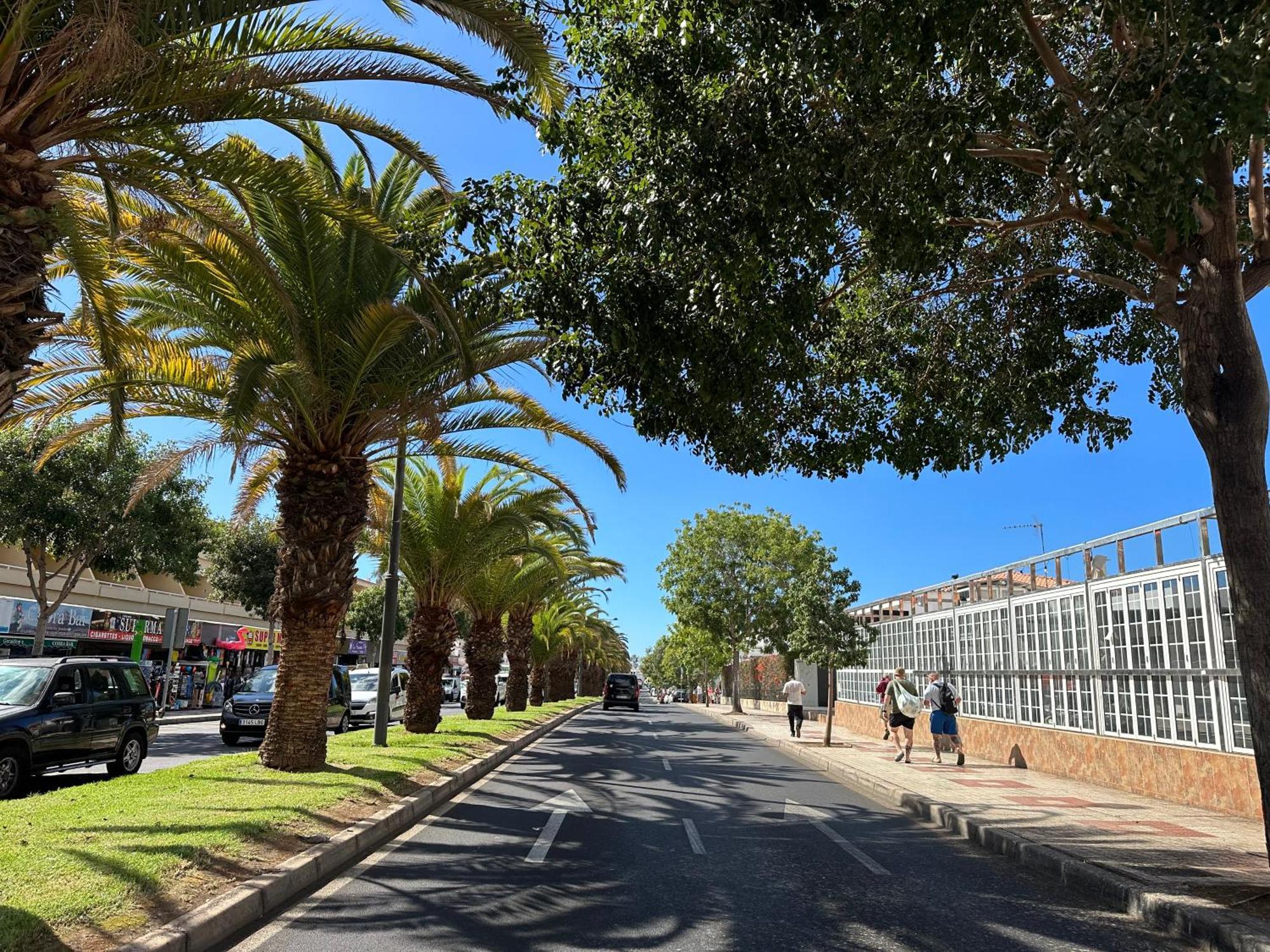 Apartment In Ocean Park, Costa Adeje, Tenerife エクステリア 写真